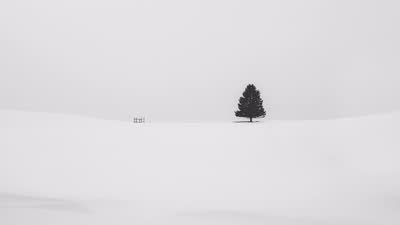 Snow